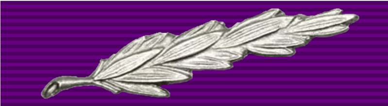 File:Empire Gallantry Medal, civil ribbon 1922-37, with silver laurel branch.png