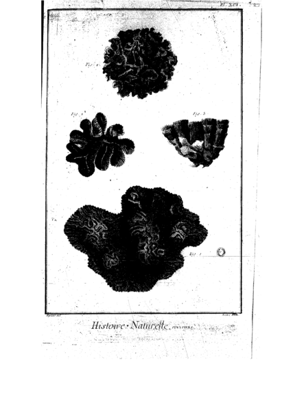 File:Encyclopedie volume 5-146.png