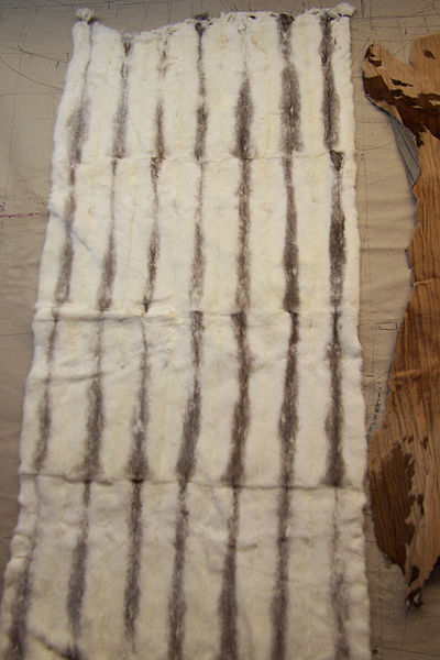 File:Ermine fur plate.jpg