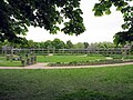 Staudengarten und Pergola mit blühenden Glycinien