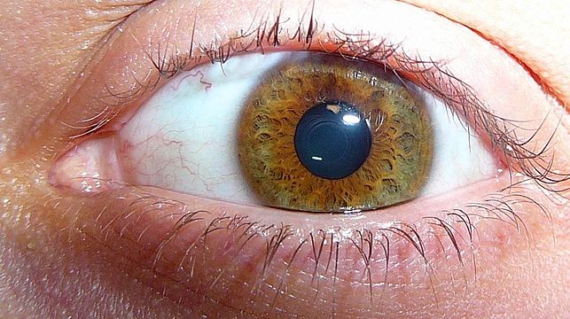 Карему цвету глаз. Болотные глаза. Зелено карие глаза. Болотно зеленые глаза. Болотный цвет глаз.