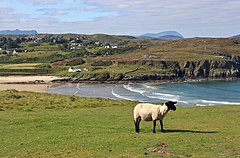 Farr Bay looking from Crask.jpg