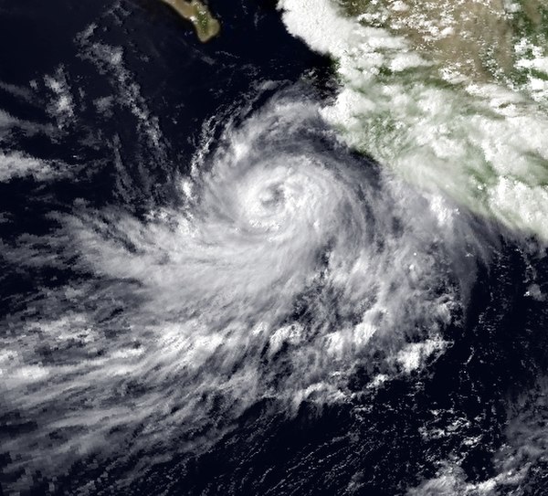 1984 Pacific hurricane season