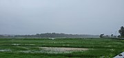 Camurlim Fields from NH17 road