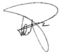 Firma de Bruno Valentini