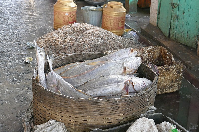 File:Fish market within the New Market, Kolkata 04.jpg