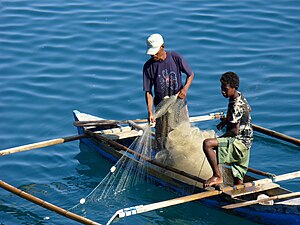 Fischer in Dili