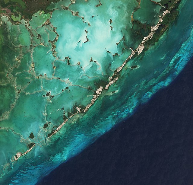 Lower Matecumbe Key to Key Largo, captured by the Sentinel-2 satellite