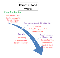 Food Waste Process.png