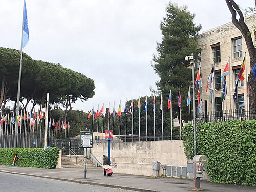 Food and Agriculture Organization (FAO) in Rome