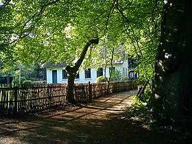 Illustrasjonsbilde av artikkelen Århus Forest Botanical Garden