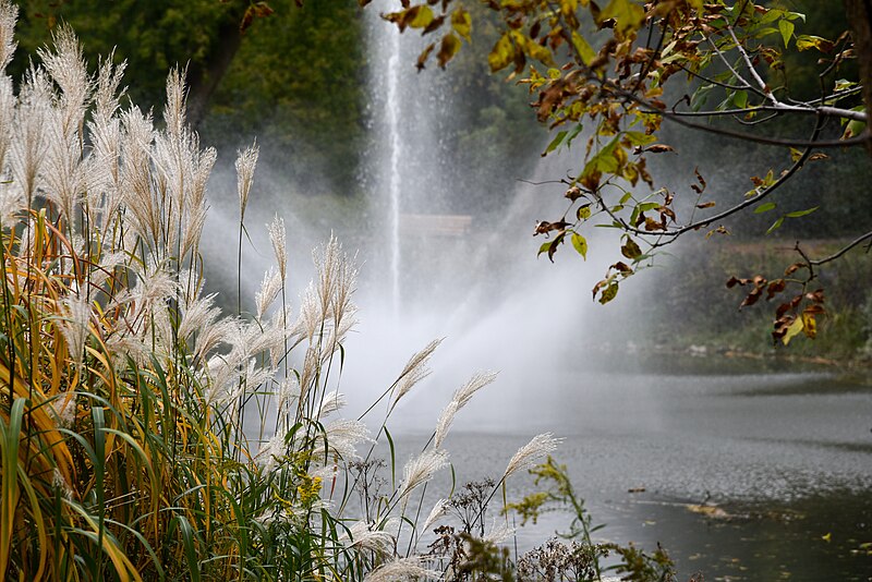 File:Fountain (123900363).jpeg