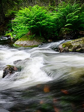 Njupeskär’s waterfall in Fulufjället National Park in Sweden. Photograph: Perengstrom