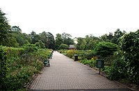 Kelvingrove Park