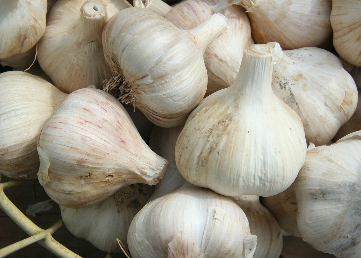 Garlic breath - Wikipedia