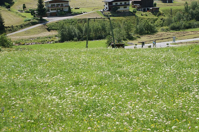 File:Gaschurn-Partenen-ski run in summer-01ASD.jpg