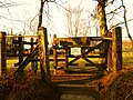 Ashdown Forest at sunset