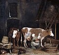 A Maid Milking a Cow in a Barn (n. 1652–54)