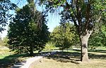 Gilman Park (Pierce, Nebraska) arboretum 2.JPG