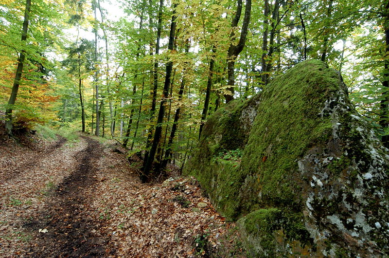 File:Grafenstein Skarbin Waldweg Felsnische ohne Bild 0404102007 84.jpg