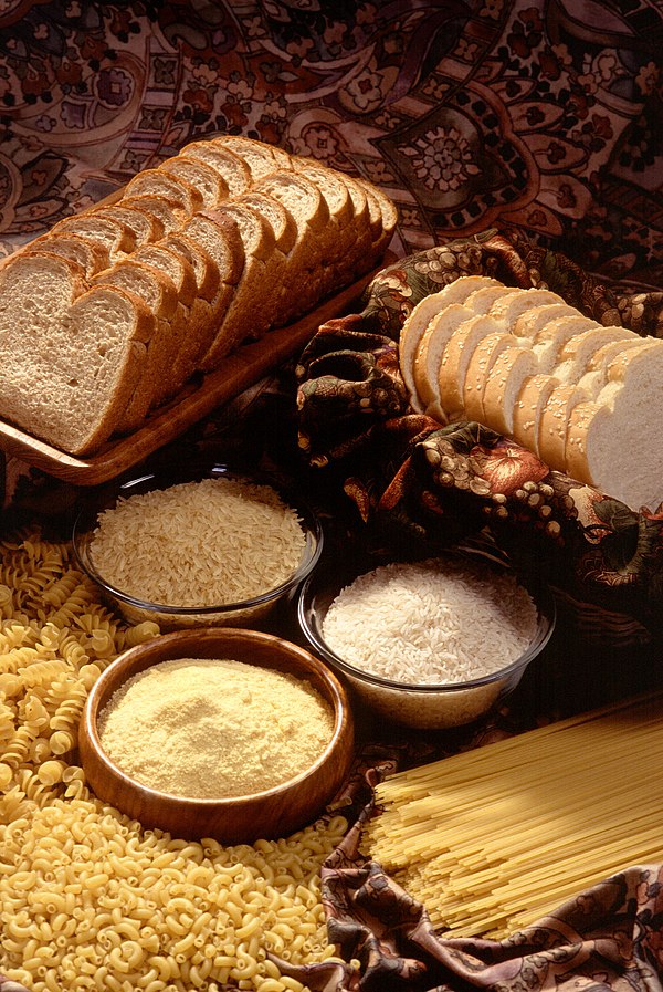 Grain products: rich sources of carbohydrates
