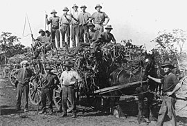 Группа возниц у запасного пути Уоллиган, сезон 1924 года. Jpg