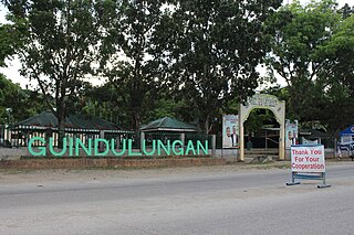 <span class="mw-page-title-main">Guindulungan</span> Municipality in Maguindanao del Sur, Philippines