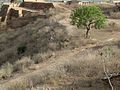 Gwalior Fort - panoramio - Gyanendra Singh Chau….jpg