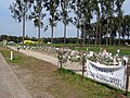 Miniatuur voor Noodweer tijdens Pukkelpop 2011