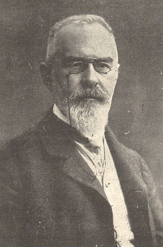 <span class="mw-page-title-main">Heinrich Lammasch</span> Austrian jurist and prime minister