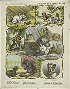 Honden en katten, collectie KB