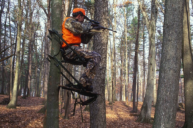 File:Hunter holds his eye to the scope of his gun while sitting on tree.jpg