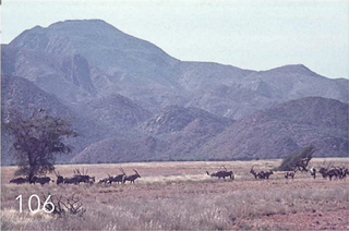 <span class="mw-page-title-main">Namibe Partial Reserve</span> Protected area in Angola