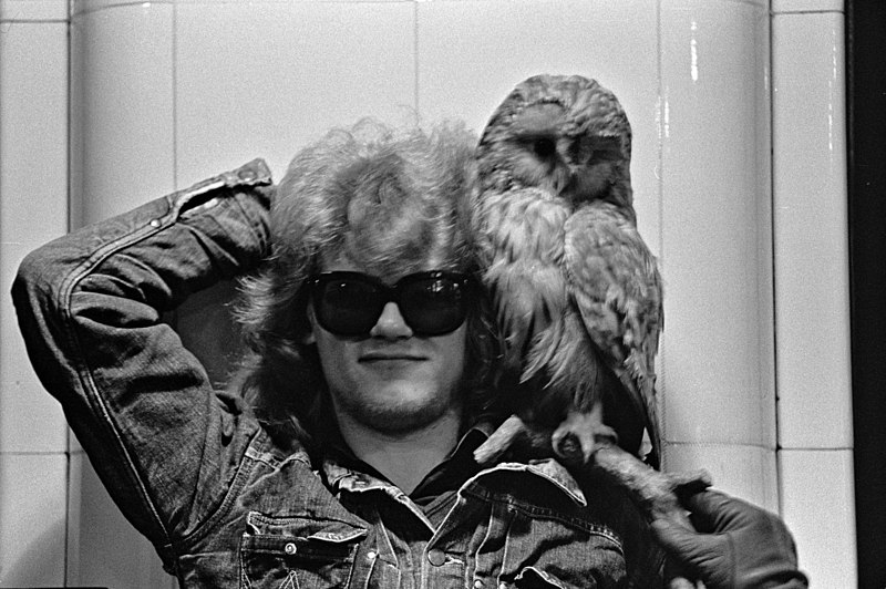 File:Hurriganes -yhtyeen kitaristi Albert Järvinen poseeraa pöllön kanssa Kruununhaassa 1970-luku.jpg