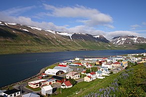 صورة لقرية في آيسلندا