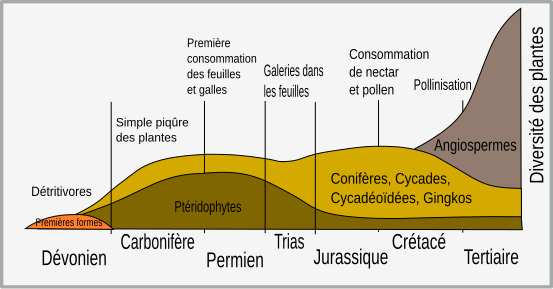 File:InsectPlantEvol-fr.svg