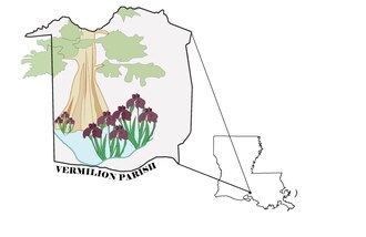 Iris nelsonii: endemic Abbeville iris in its native habitat of Southeast Abbeville, Louisiana Iris Nelsonii.pdf