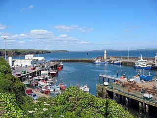 <span class="mw-page-title-main">Dunmore East</span> Fishing village in County Waterford, Ireland