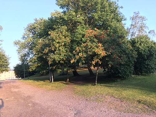 Island of Suomenlinna in Helsinki