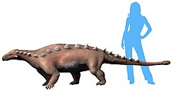 Life restoration of Jinyunpelta sinensis Jinyunpelta NT.jpg