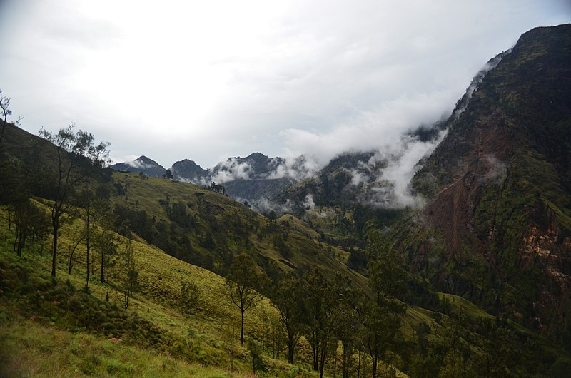 File:Kabut yang menyelimuti lereng gunung rinjani.jpg