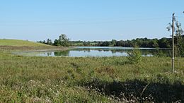 Pakrantė Kamariškių kaime