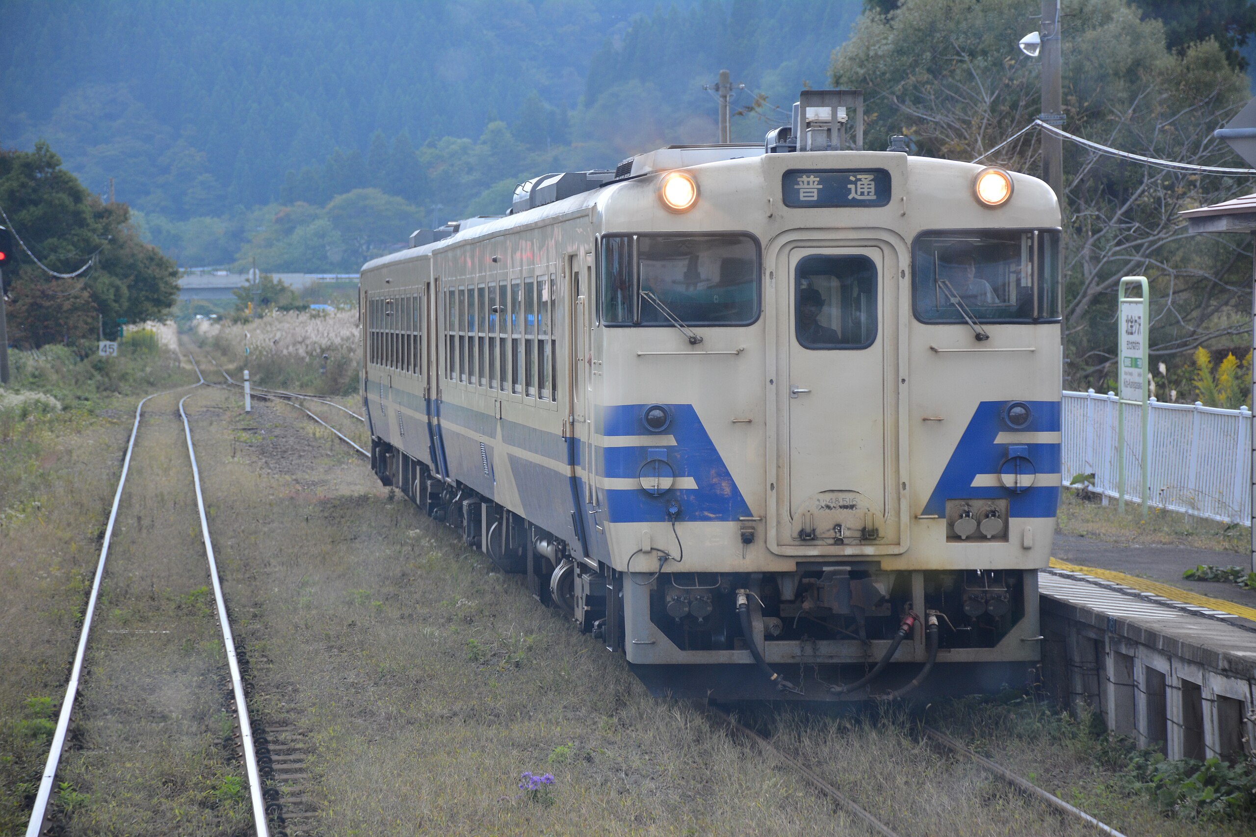 File:Kiha 48 (JR East) at Kita-Kanegasawa Station.jpg - Wikimedia 