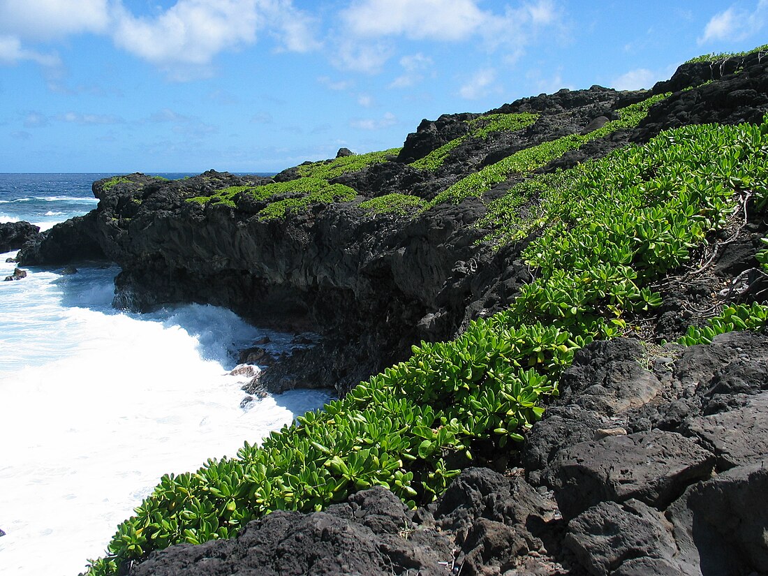 Haleakala Milli Parkı