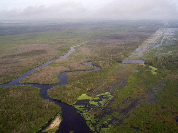 A portion of the C-38 canal, finished in 1971, now backfilled to restore the Kissimmee River floodplain to a more natural state