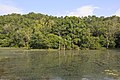 Kota-Belud Sabah Small-lake-along-Federal-Route-1-01.jpg