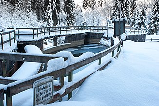 Wehr am Weerbach just above the mouth of the Nurpensbach