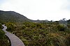 The boardwalk around Lake Esperance