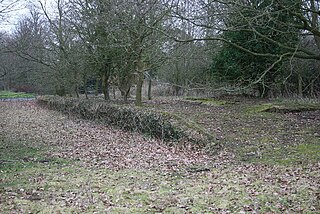 <span class="mw-page-title-main">Laxfield railway station</span> Former railway station in England