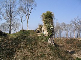 Les ruines du château de Montfort-sur-Risle.jpg